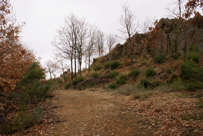 Hotel Rural Aguallevada | Ruta de los Castros Sanabreses 1