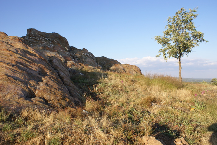 Hotel Rural Aguallevada | Ruta de los Castros Sanabreses 1