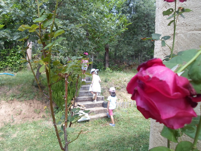 Hotel Rural Aguallevada | Campamento de Verano 7