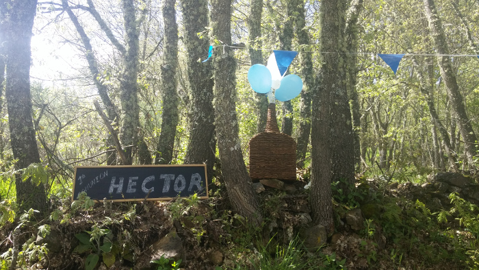 Hotel Rural Aguallevada | Eventos 5