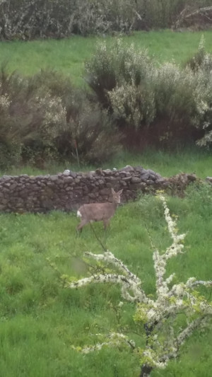 Hotel Rural Aguallevada | La Casa 5