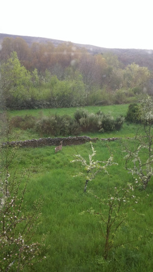 Hotel Rural Aguallevada | La Casa 8